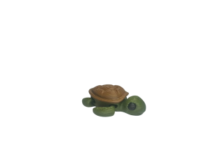 TORTUGA